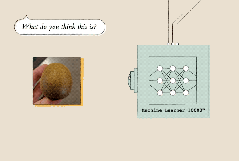 Fruit prediction
